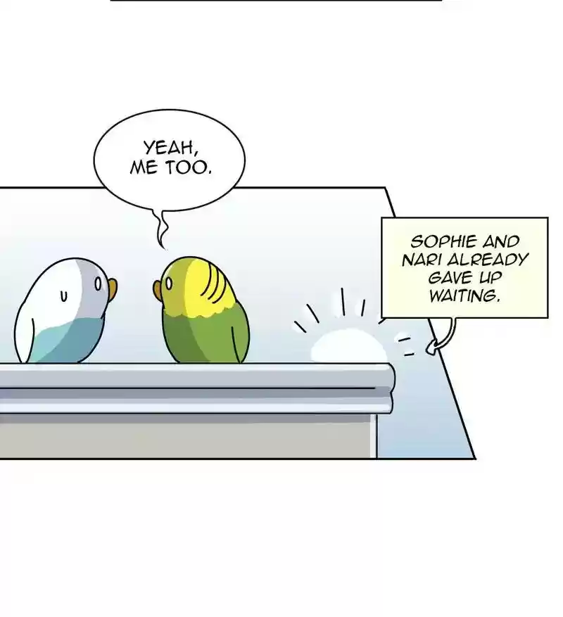 A Budgie's Life Chapter 306: Ep.305: