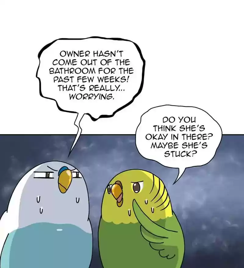 A Budgie's Life Chapter 306: Ep.305: