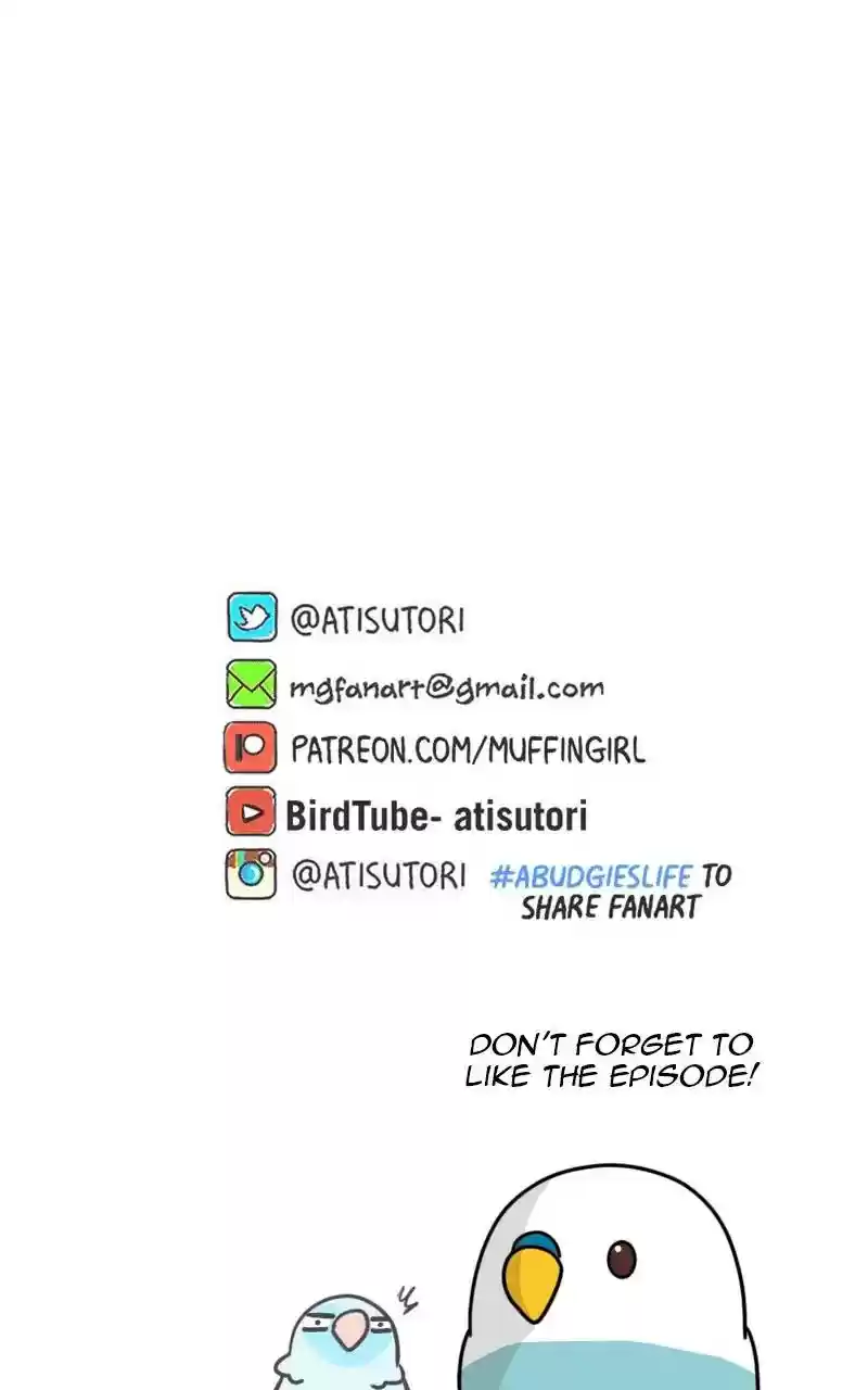 A Budgie's Life Chapter 306: Ep.305: