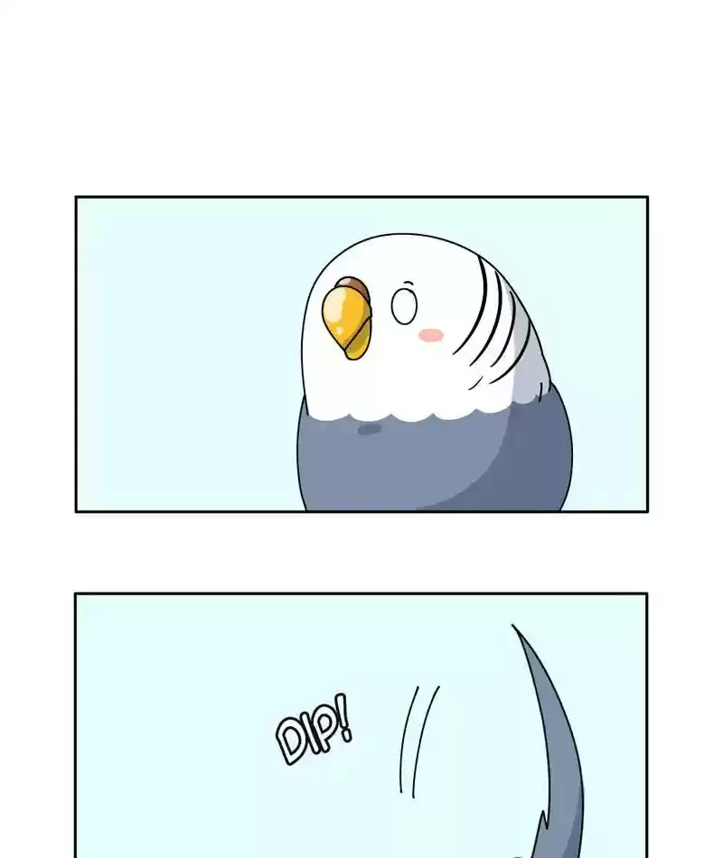 A Budgie's Life Chapter 307: Ep.306: