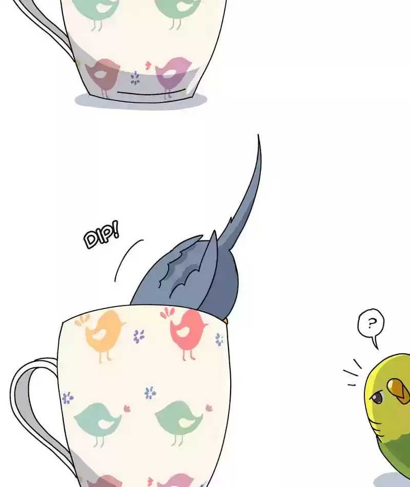 A Budgie's Life Chapter 307: Ep.306: