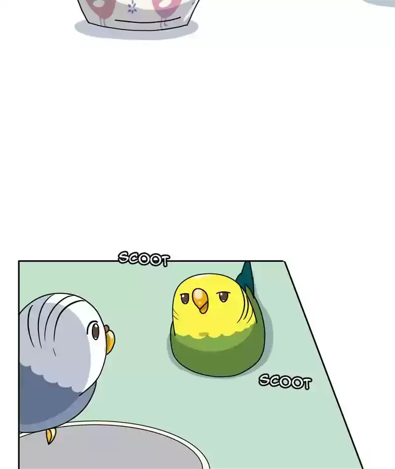 A Budgie's Life Chapter 307: Ep.306: