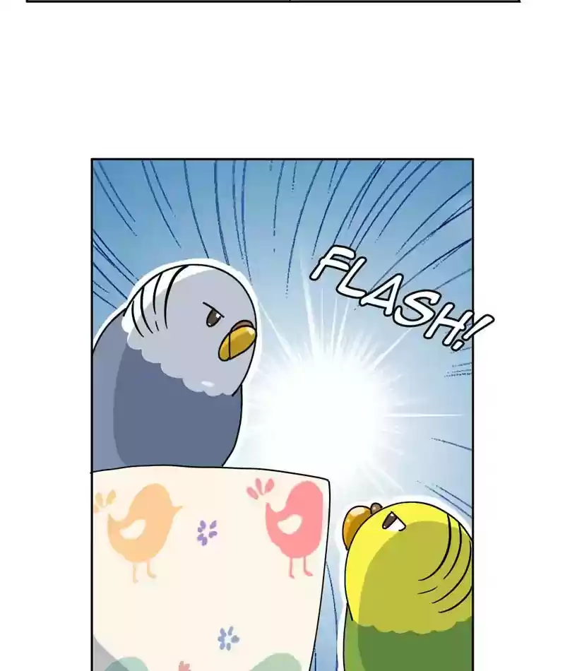 A Budgie's Life Chapter 307: Ep.306: