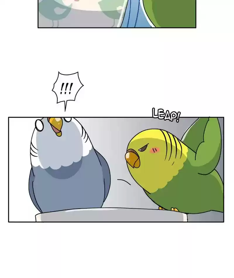 A Budgie's Life Chapter 307: Ep.306: