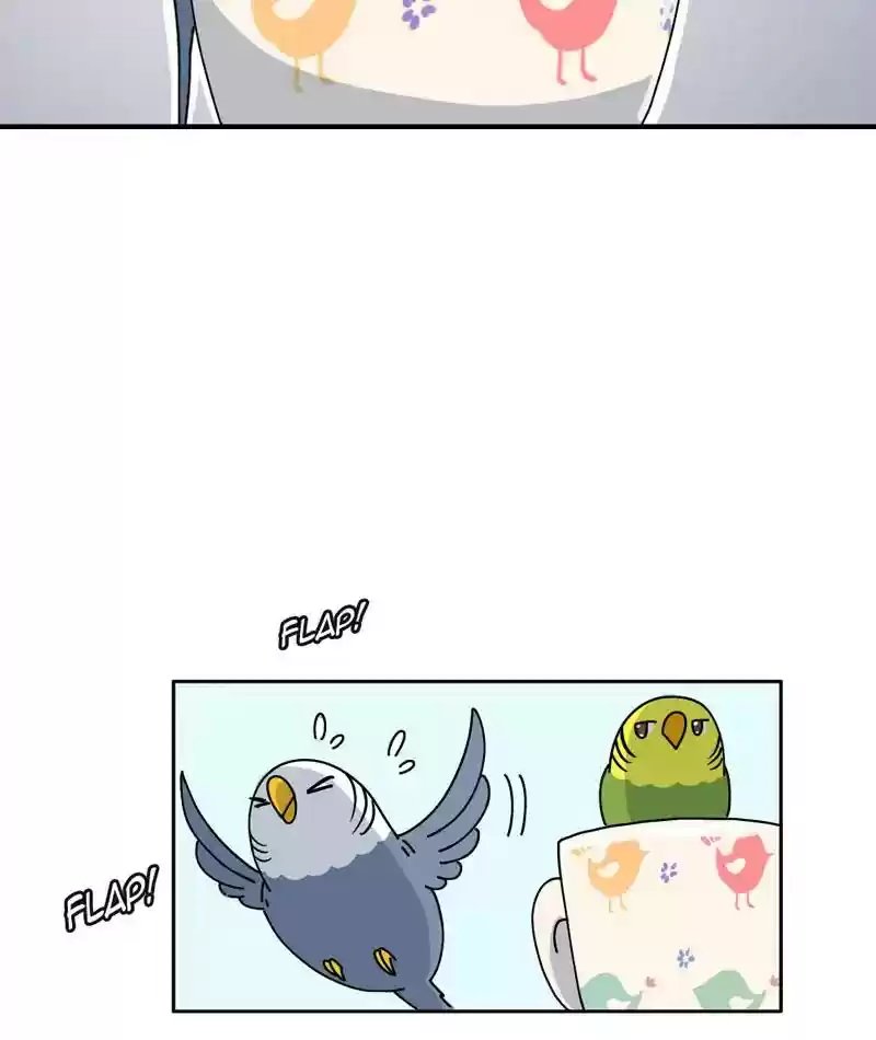 A Budgie's Life Chapter 307: Ep.306: