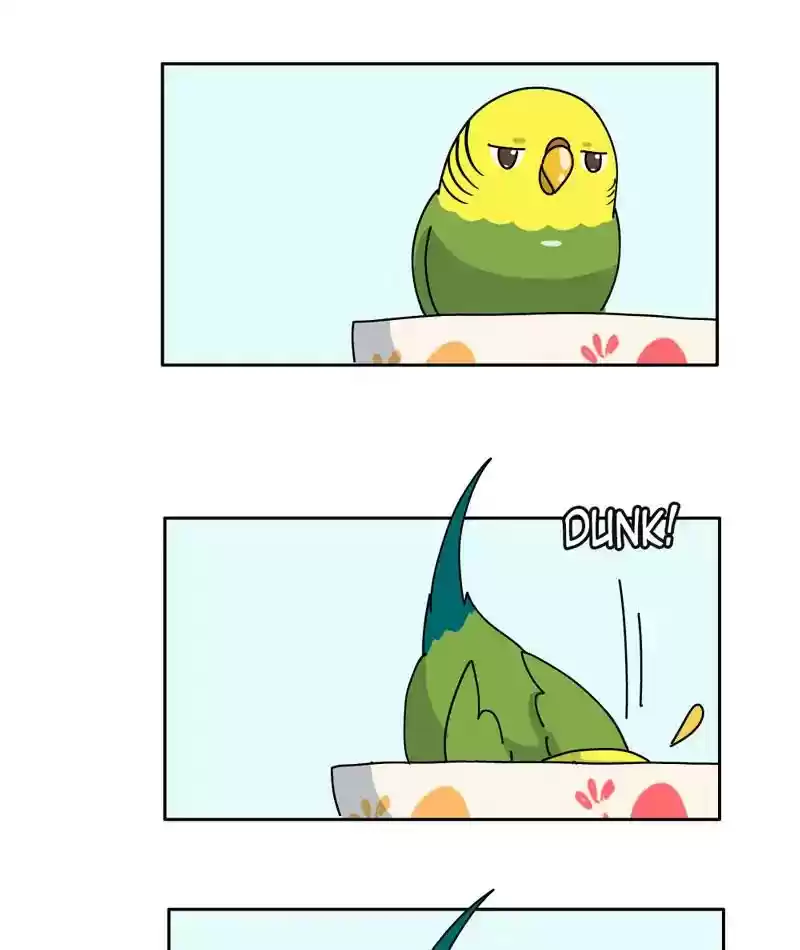 A Budgie's Life Chapter 307: Ep.306: