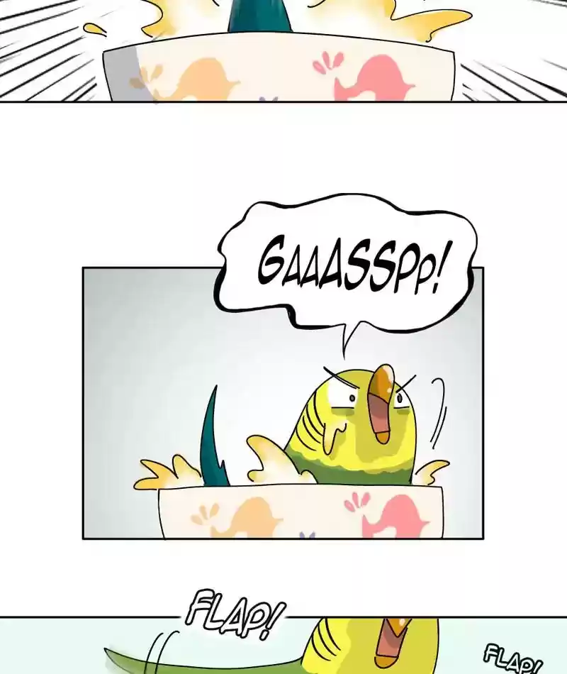 A Budgie's Life Chapter 307: Ep.306:
