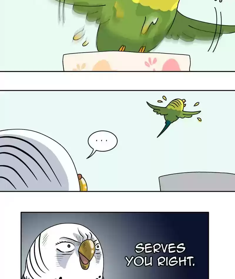 A Budgie's Life Chapter 307: Ep.306: