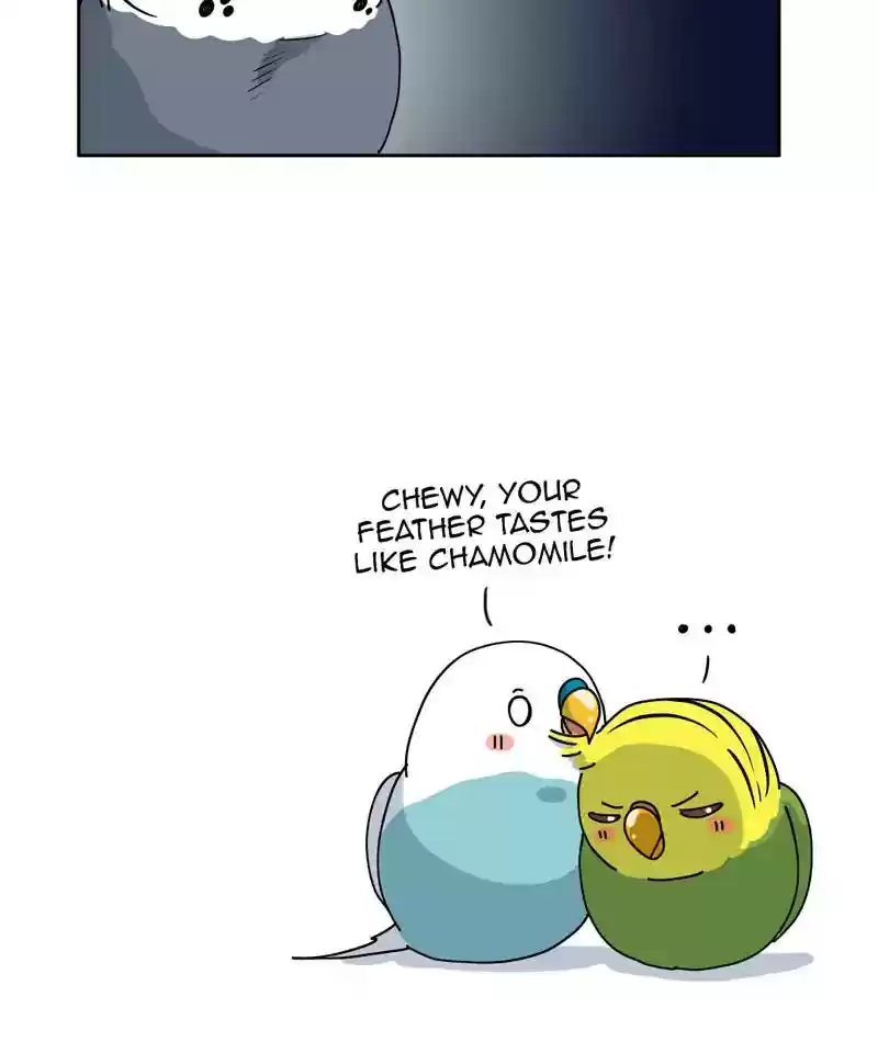 A Budgie's Life Chapter 307: Ep.306: