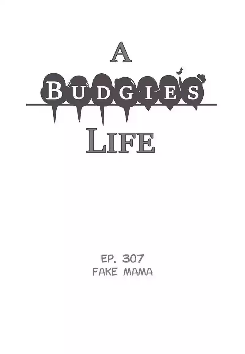 A Budgie's Life Chapter 308: Ep.307: