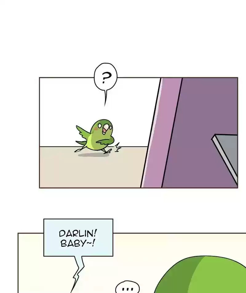 A Budgie's Life Chapter 308: Ep.307: