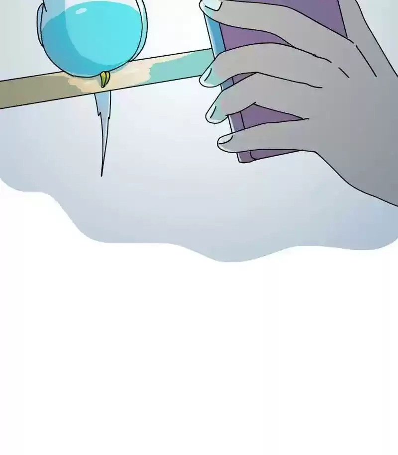 A Budgie's Life Chapter 308: Ep.307: