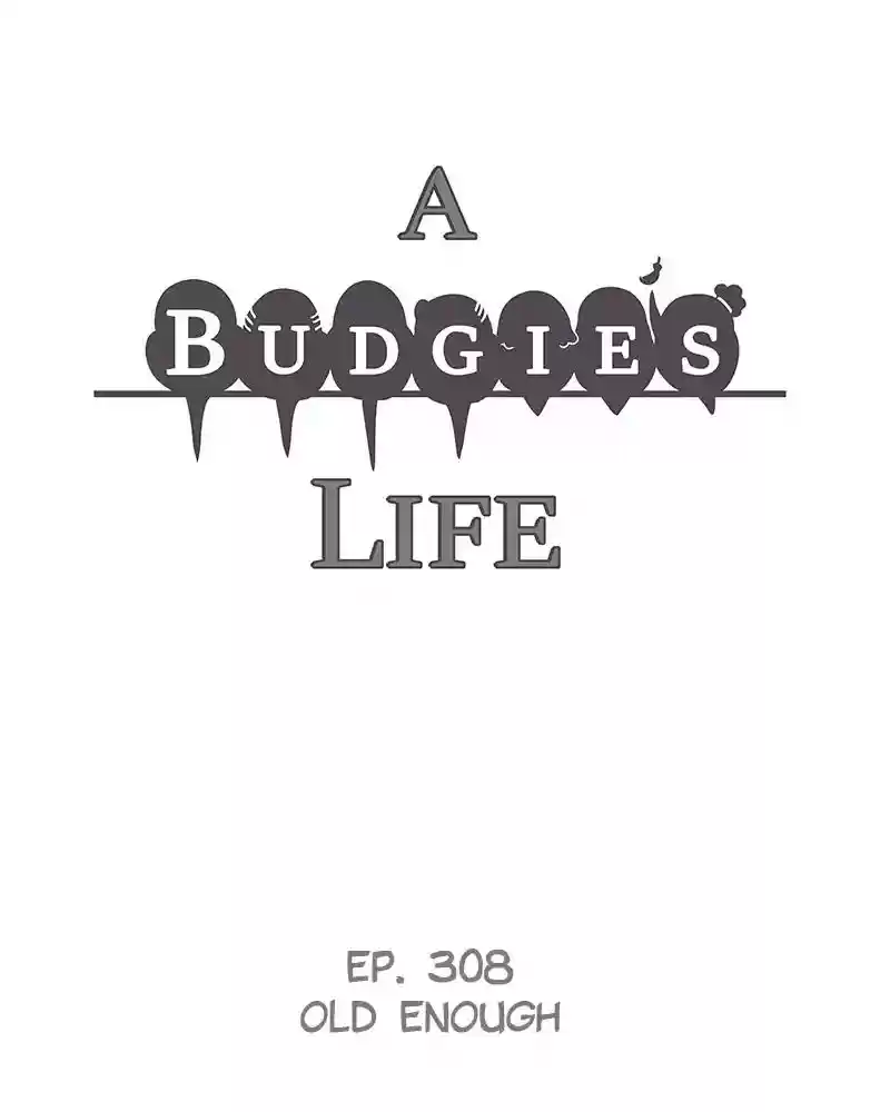 A Budgie's Life Chapter 309: Ep.308: