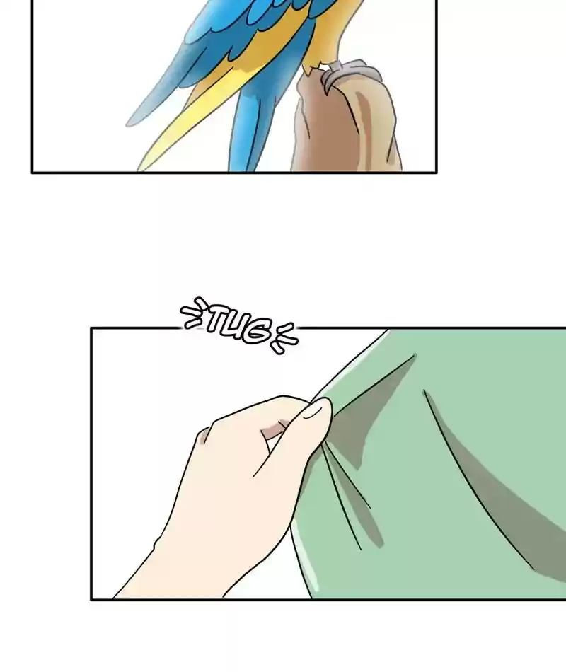 A Budgie's Life Chapter 309: Ep.308: