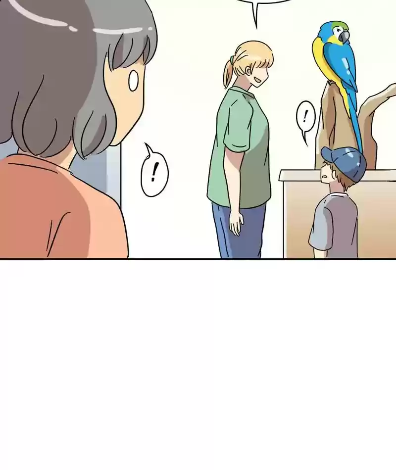 A Budgie's Life Chapter 309: Ep.308: