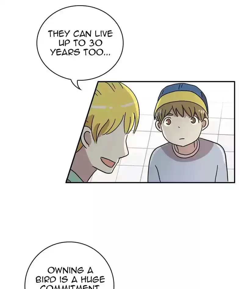 A Budgie's Life Chapter 309: Ep.308: