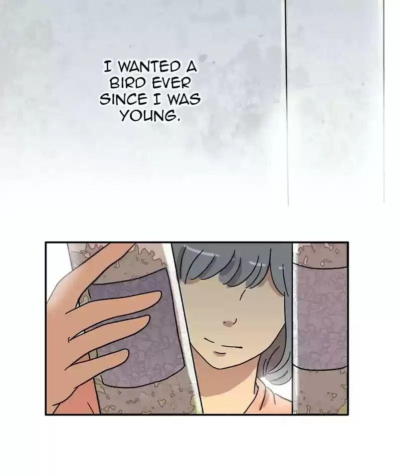 A Budgie's Life Chapter 309: Ep.308: