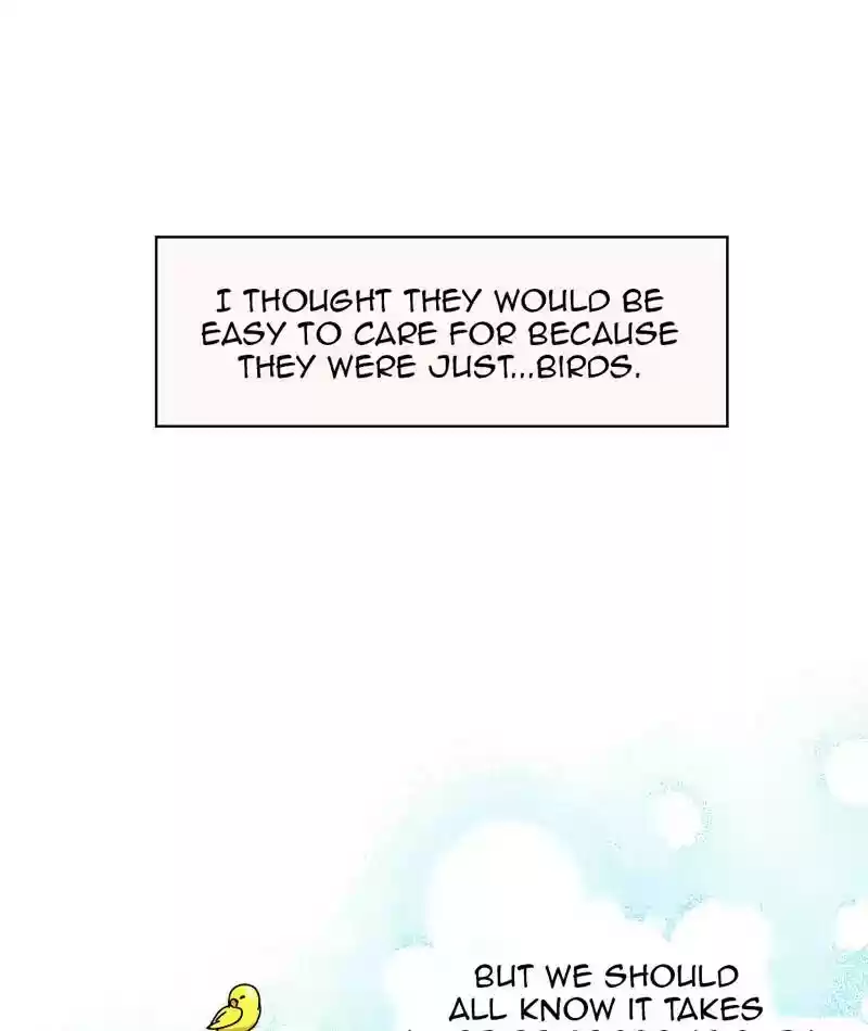 A Budgie's Life Chapter 309: Ep.308: