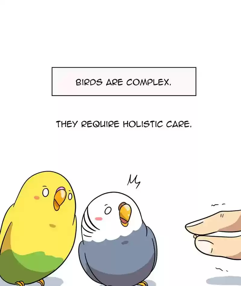 A Budgie's Life Chapter 309: Ep.308: