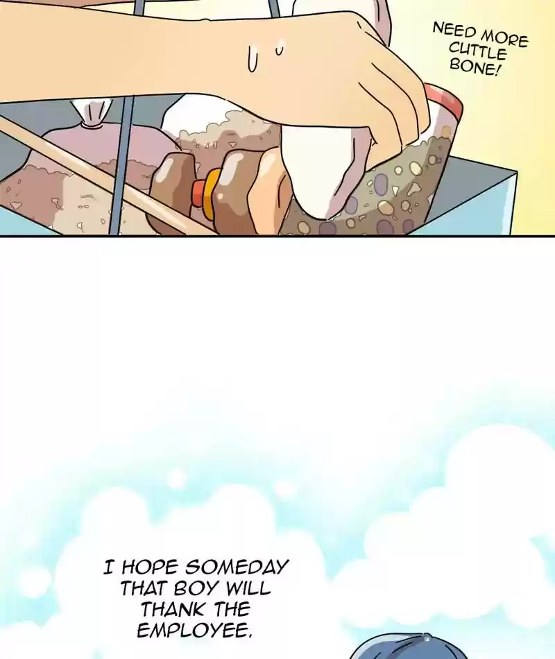 A Budgie's Life Chapter 309: Ep.308: