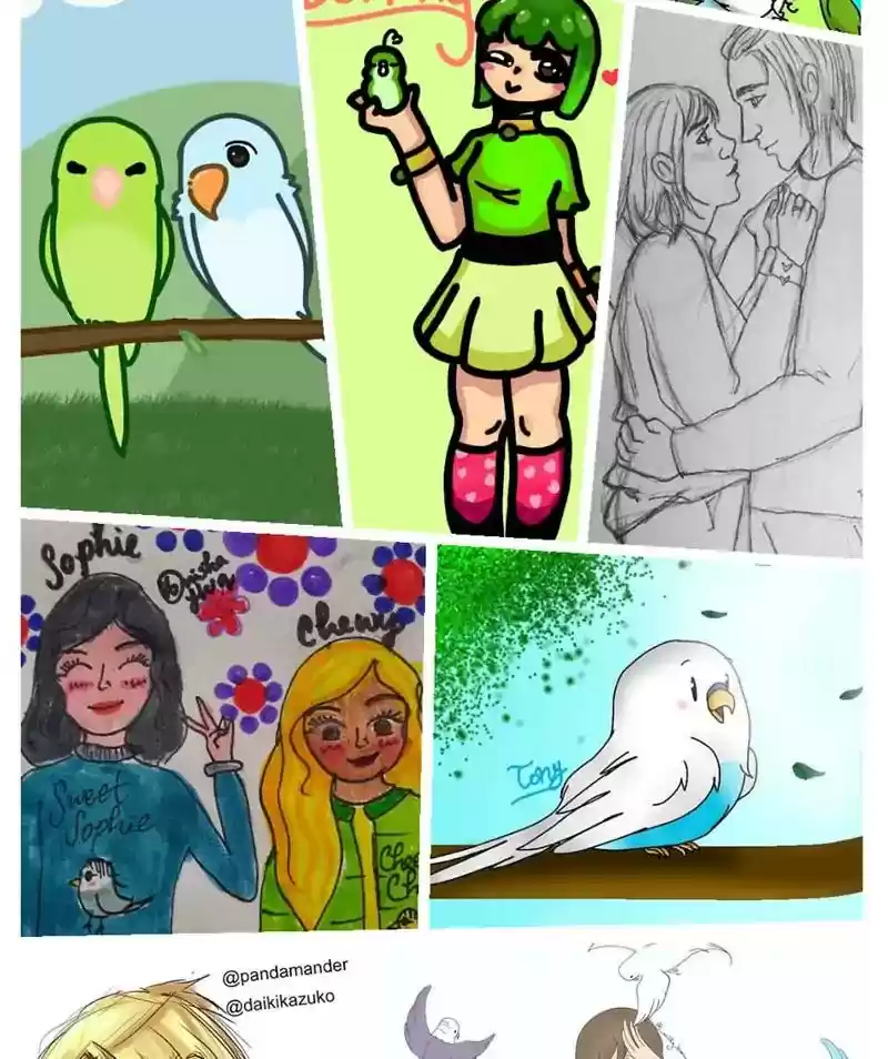 A Budgie's Life Chapter 309: Ep.308: