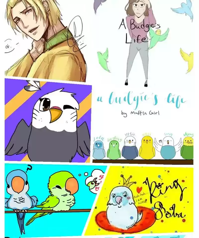 A Budgie's Life Chapter 309: Ep.308: