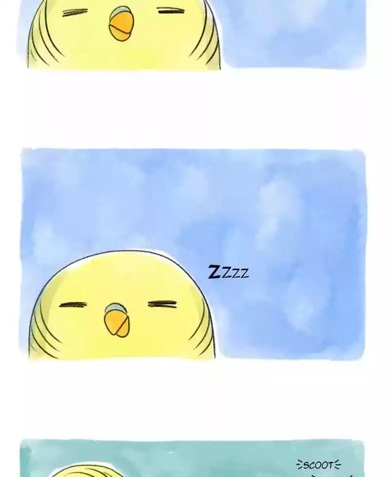 A Budgie's Life Chapter 31: Ep.31: