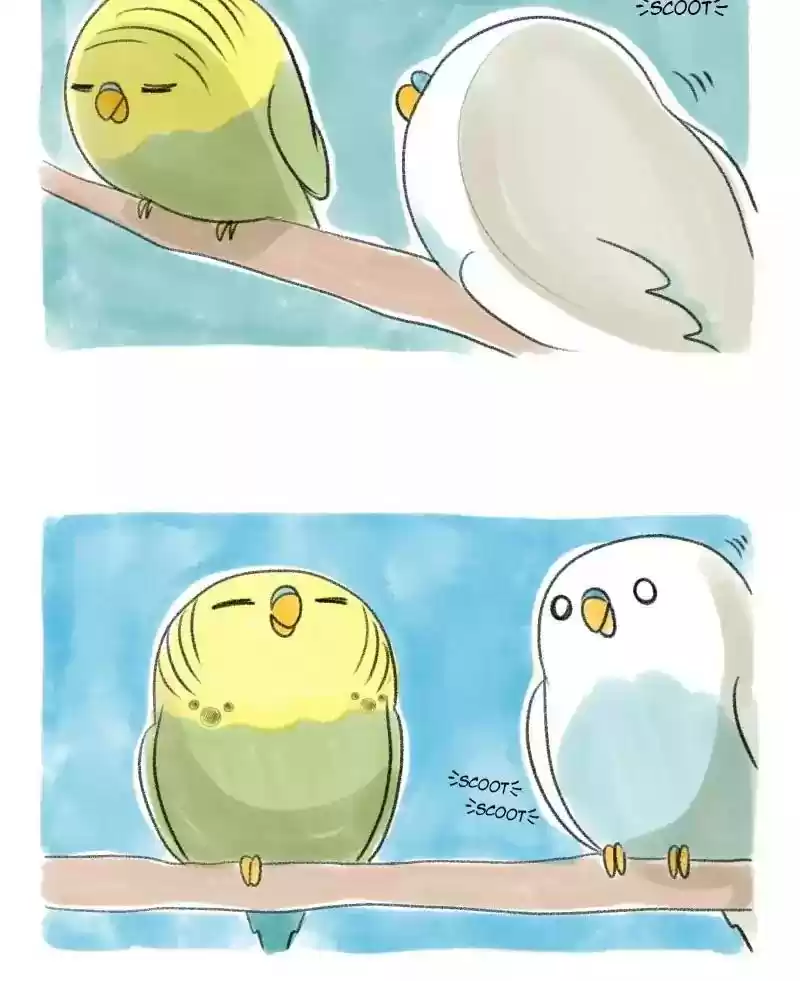 A Budgie's Life Chapter 31: Ep.31: