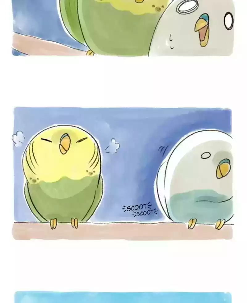 A Budgie's Life Chapter 31: Ep.31: