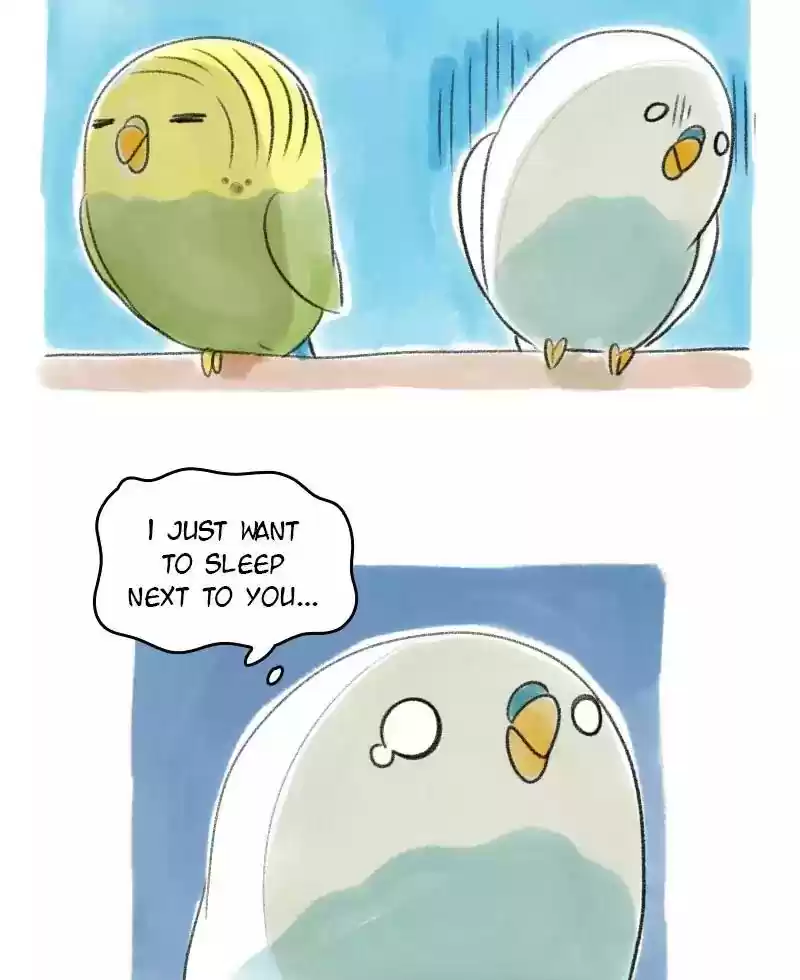 A Budgie's Life Chapter 31: Ep.31: