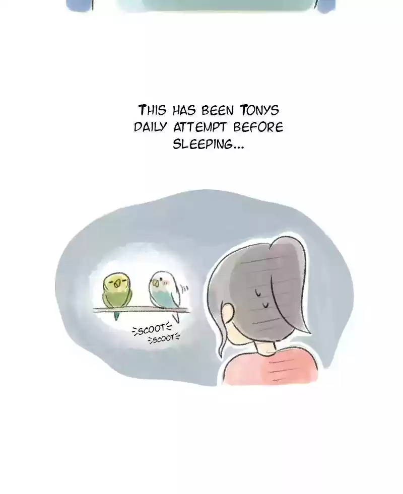 A Budgie's Life Chapter 31: Ep.31:
