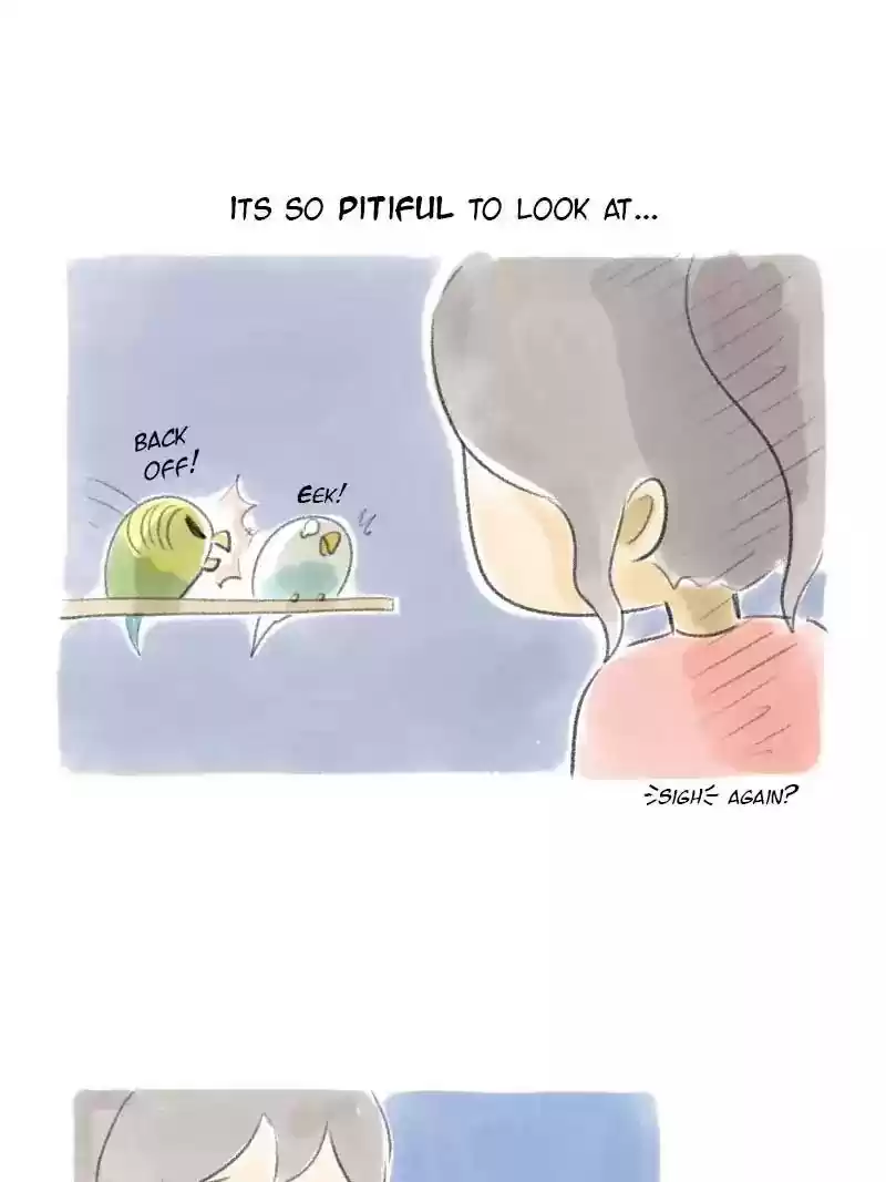 A Budgie's Life Chapter 31: Ep.31: