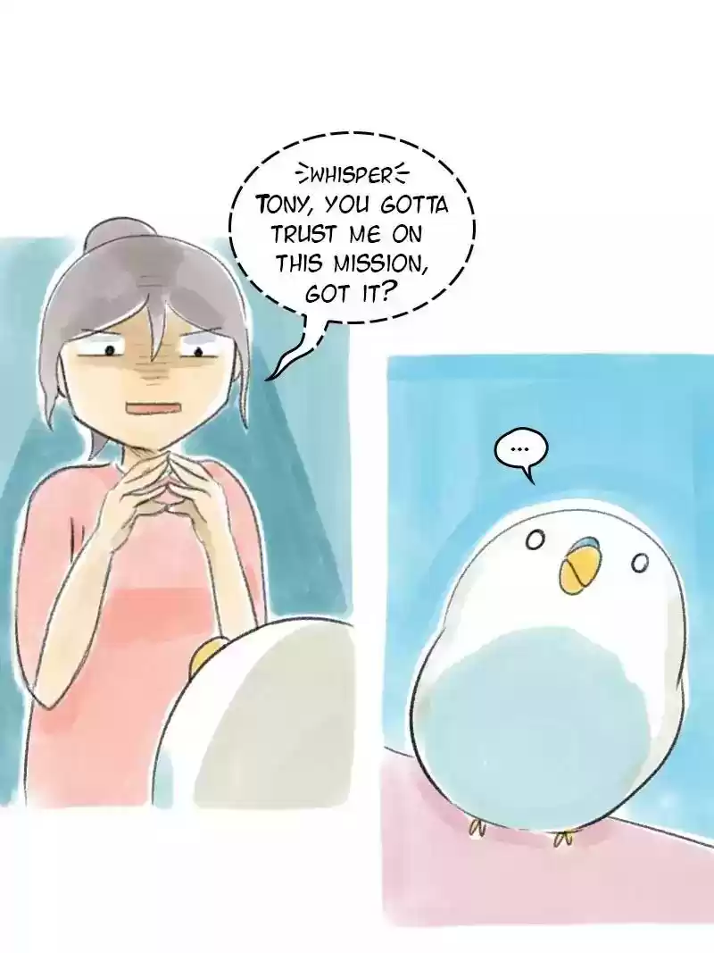 A Budgie's Life Chapter 31: Ep.31: