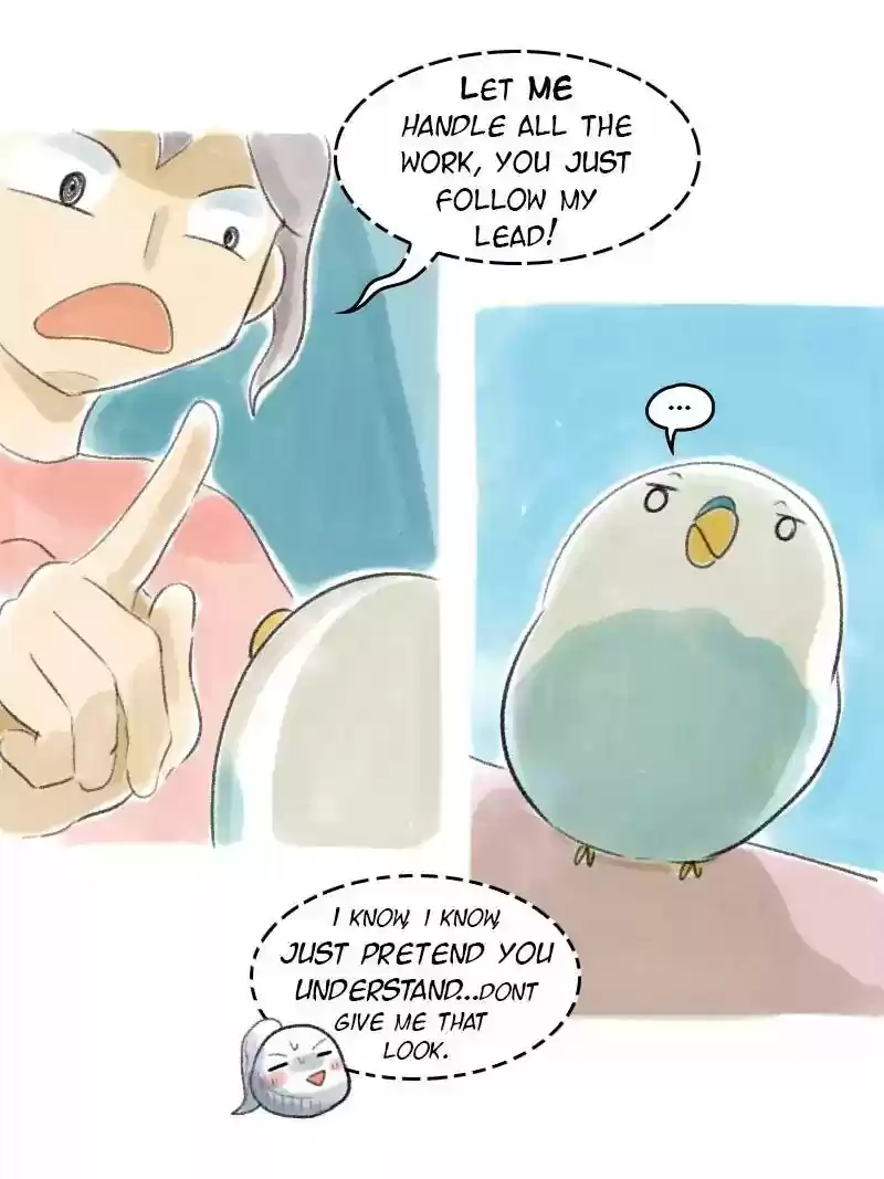 A Budgie's Life Chapter 31: Ep.31: