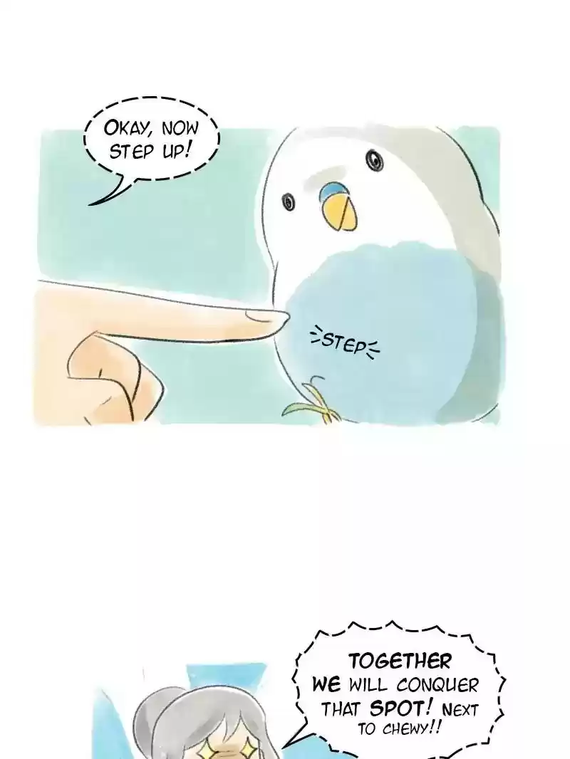 A Budgie's Life Chapter 31: Ep.31: