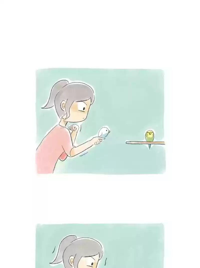 A Budgie's Life Chapter 31: Ep.31:
