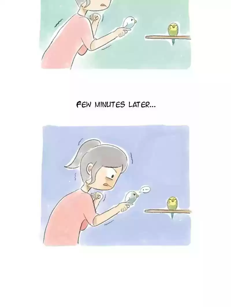 A Budgie's Life Chapter 31: Ep.31: