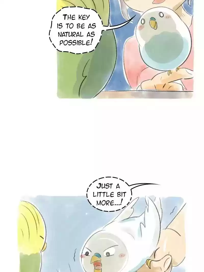 A Budgie's Life Chapter 31: Ep.31: