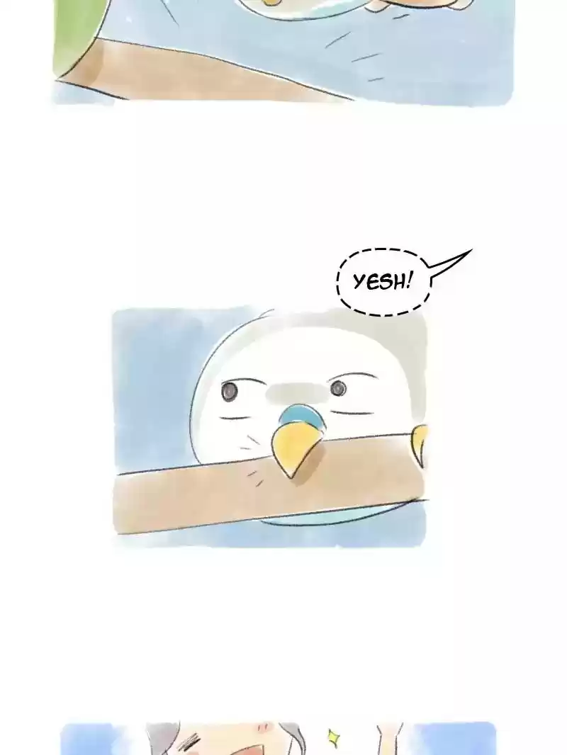 A Budgie's Life Chapter 31: Ep.31: