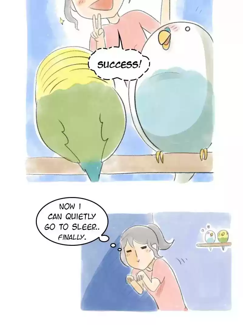 A Budgie's Life Chapter 31: Ep.31: