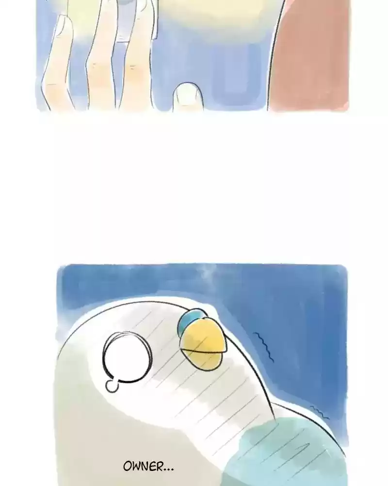 A Budgie's Life Chapter 31: Ep.31: