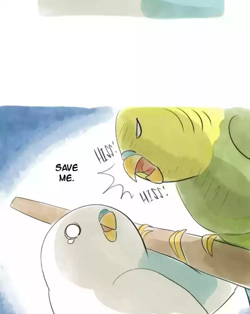 A Budgie's Life Chapter 31: Ep.31:
