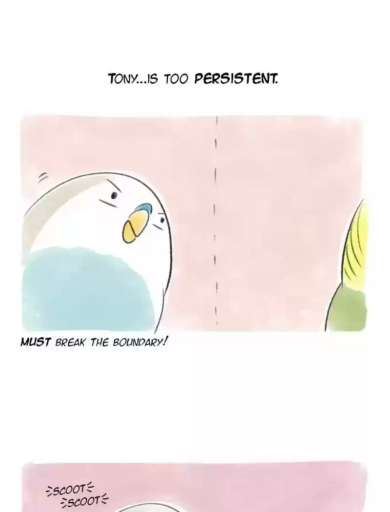 A Budgie's Life Chapter 31: Ep.31: