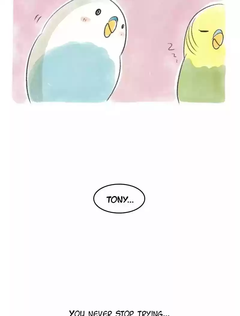 A Budgie's Life Chapter 31: Ep.31: