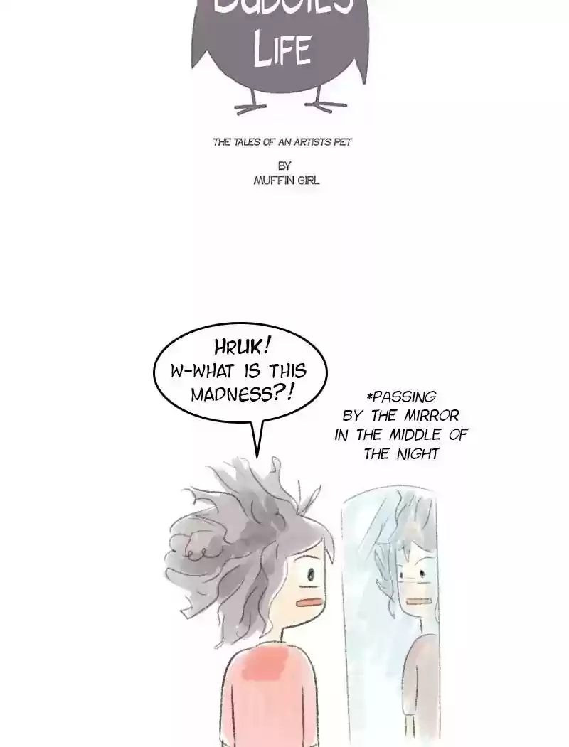 A Budgie's Life Chapter 31: Ep.31: