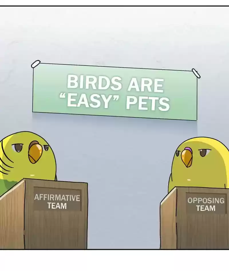 A Budgie's Life Chapter 310: Ep.309: