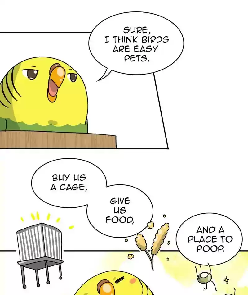 A Budgie's Life Chapter 310: Ep.309: