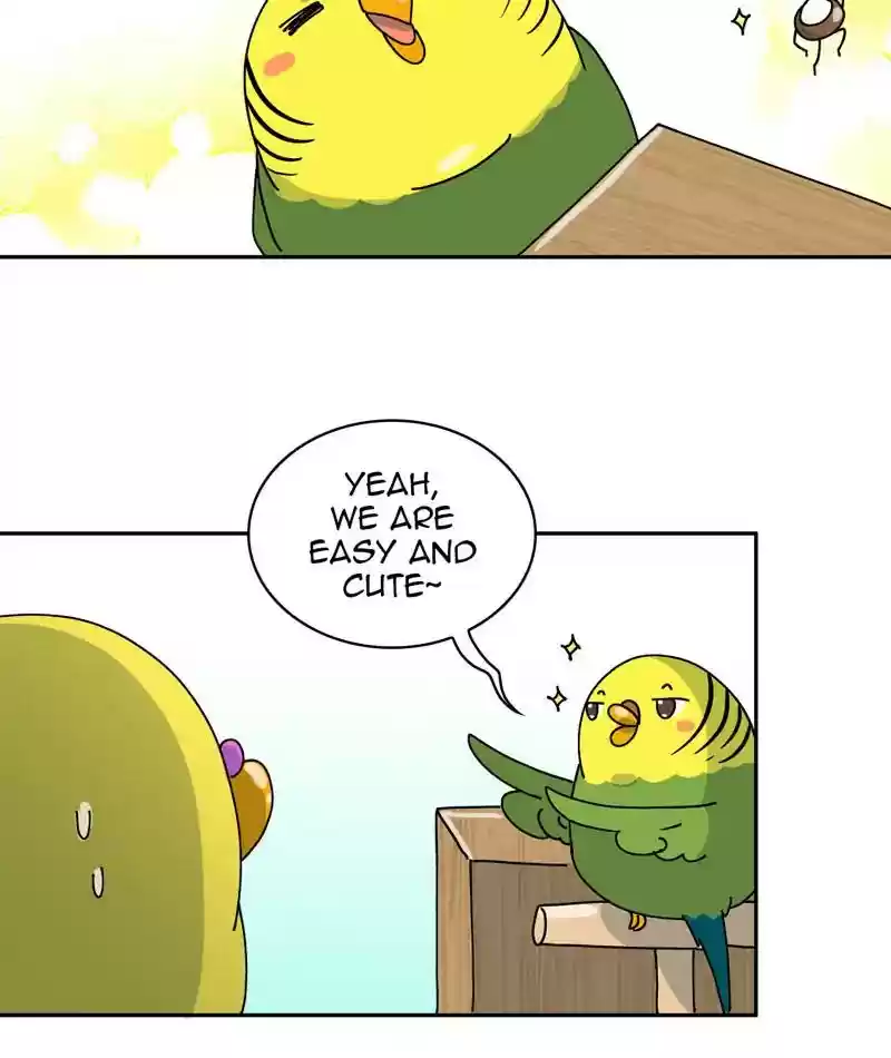 A Budgie's Life Chapter 310: Ep.309: