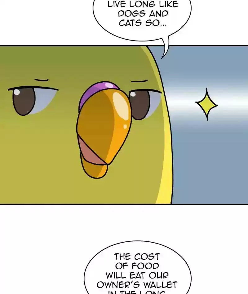 A Budgie's Life Chapter 310: Ep.309:
