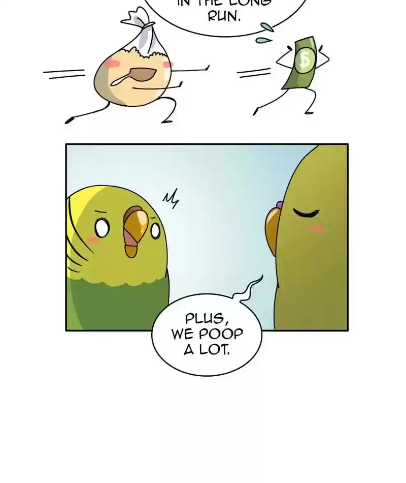 A Budgie's Life Chapter 310: Ep.309: